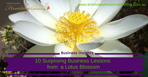 10-surprising-business-lessons-from-a